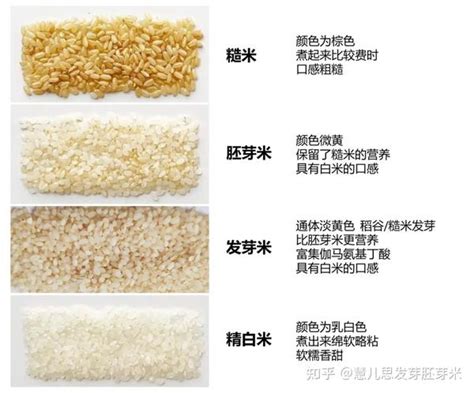 一粒米兩粒米分別|白米、糙米、胚芽米的關係 池上多力米